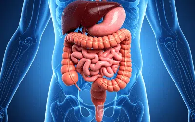 Weltneuheit – Darm (Gut Health Test) Bluttest